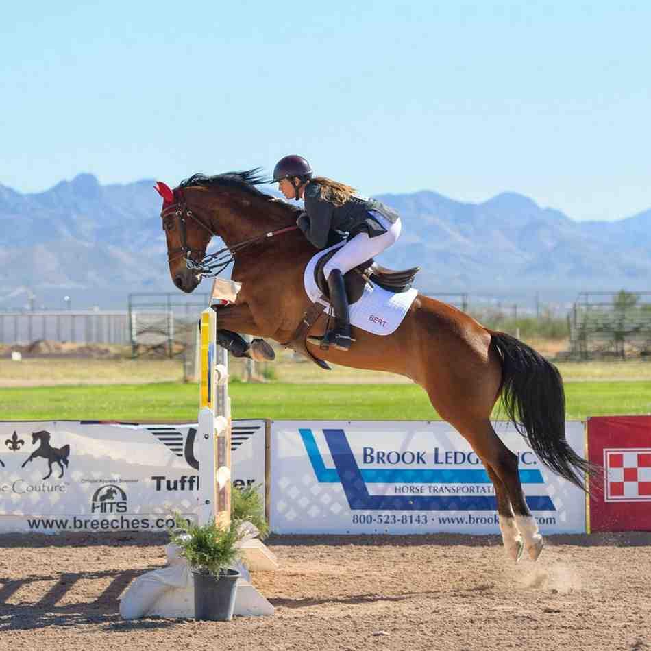 How to Book Your Houston Rodeo Shuttle & Park and Ride Service